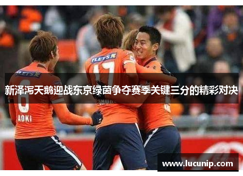 新泽泻天鹅迎战东京绿茵争夺赛季关键三分的精彩对决